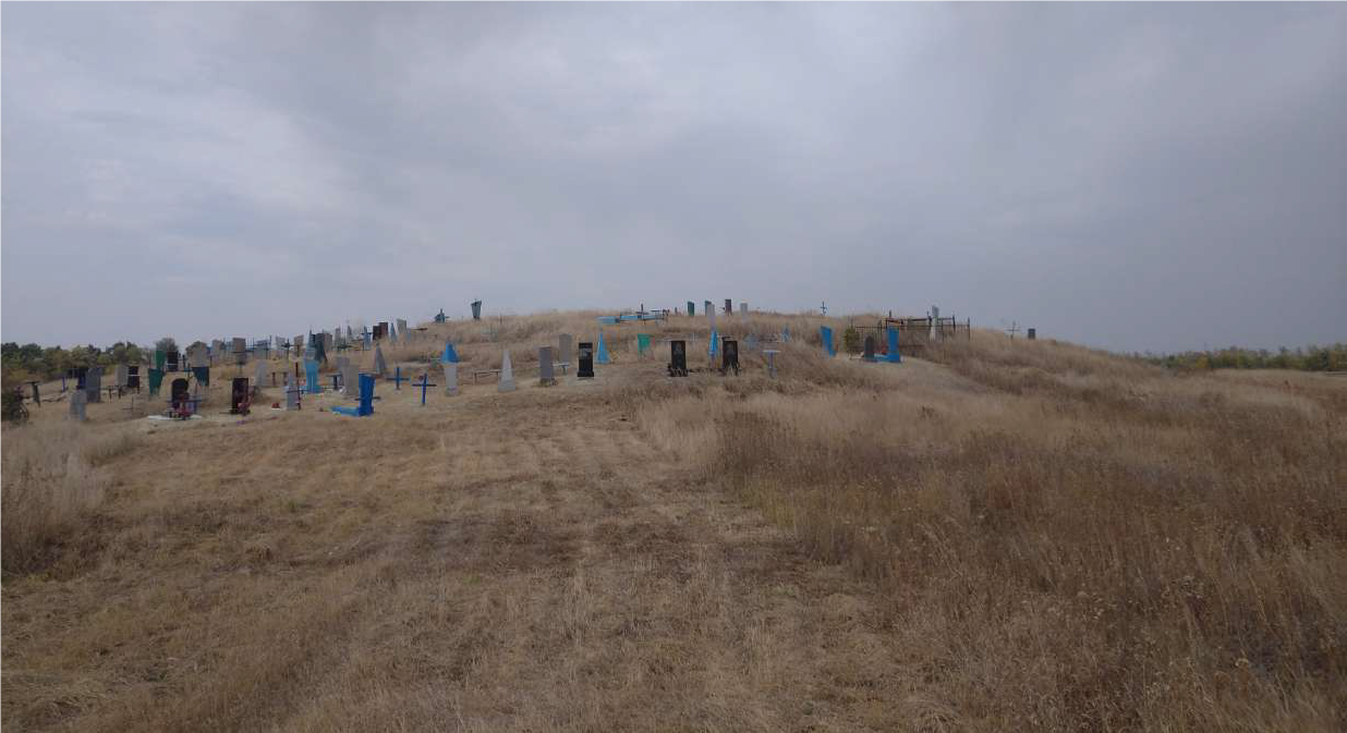 Qiz jinsiy aloqa qilishga rozi boldi